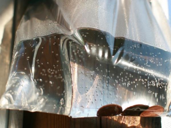 Neverjeten način za odganjanje muh